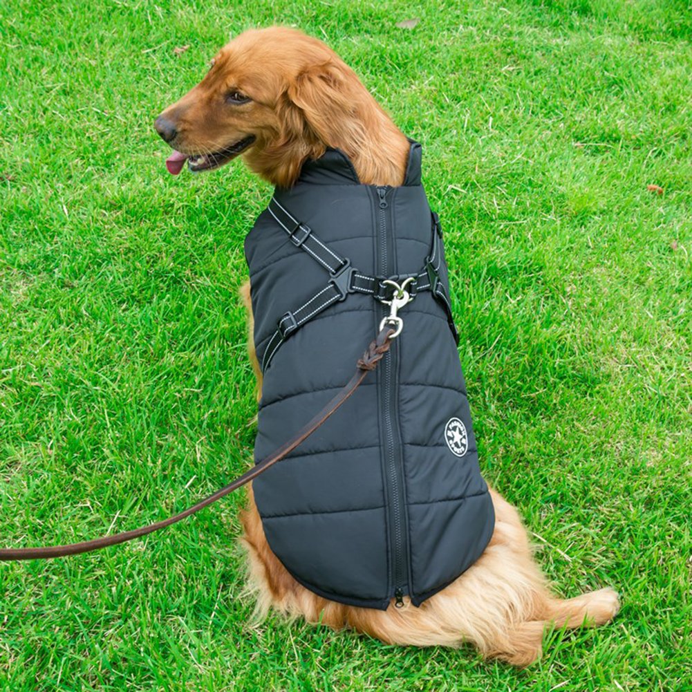 PawbibiTM - Waterproof Winter Jacket with Built-in Harness