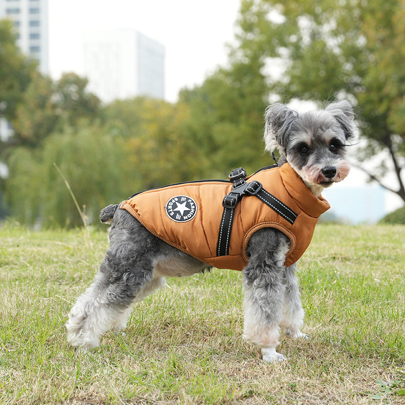 PawbibiTM - Waterproof Winter Jacket with Built-in Harness