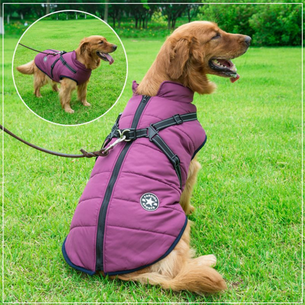 PawbibiTM - Waterproof Winter Jacket with Built-in Harness