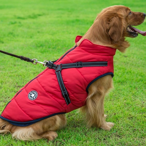 PawbibiTM - Waterproof Winter Jacket with Built-in Harness