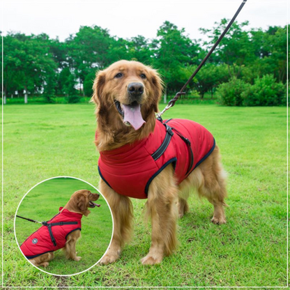 PawbibiTM - Waterproof Winter Jacket with Built-in Harness