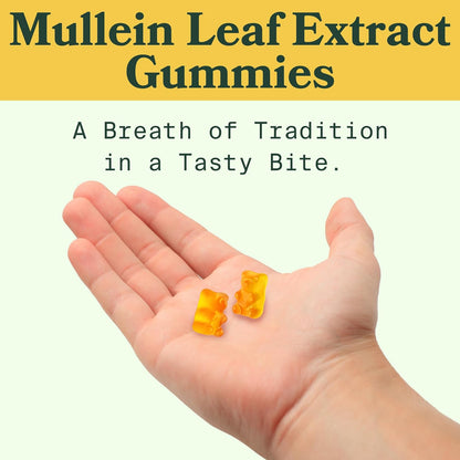🔥Last Day Promotion 49% OFF🔥Mullein Gummies | Lung Health & Sinus Relief (30 Day Supply)